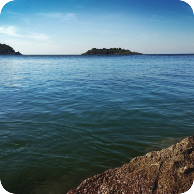 Image hover effect image