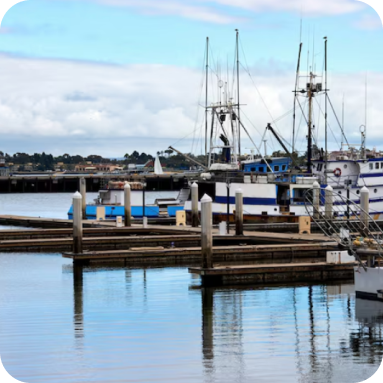 Image hover effect image